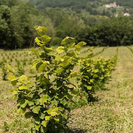 Podere Groppini فيفيزانو المظهر الخارجي الصورة