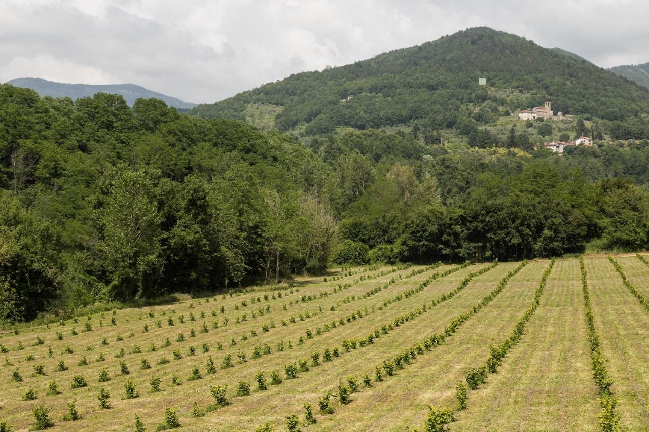 Podere Groppini فيفيزانو المظهر الخارجي الصورة