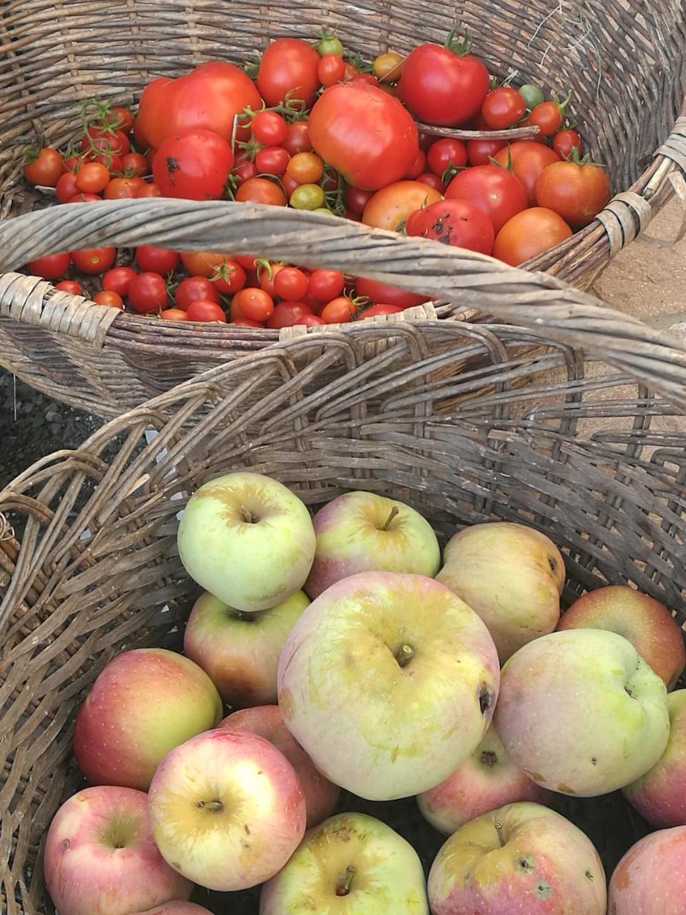 Podere Groppini فيفيزانو المظهر الخارجي الصورة
